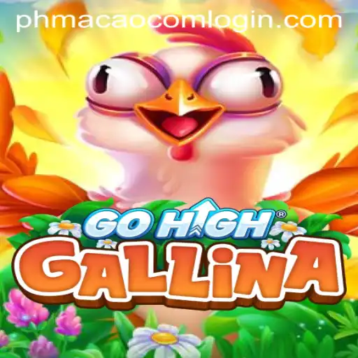 Discover the Innovative World of GoHighGallina